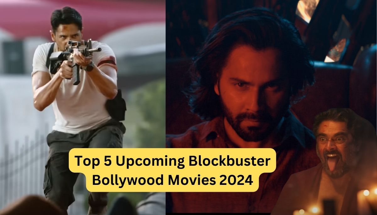 Top 5 Blockbuster Bollywood Movies 2024 ये फिल्मे सारे रिकॉर्ड